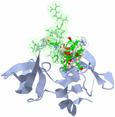 Image NMR Structure - model 1, sites