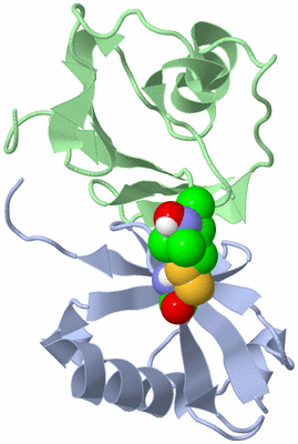 Image NMR Structure - model 1