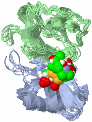 Image NMR Structure - all models