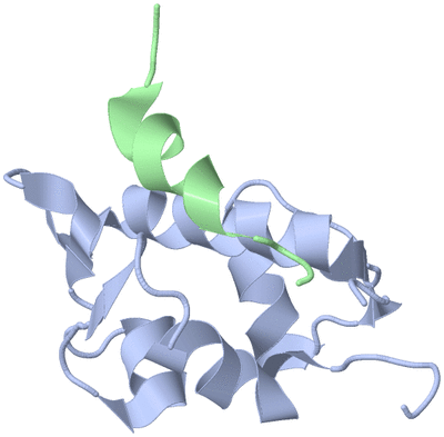 Image NMR Structure - model 1