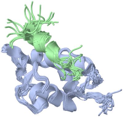 Image NMR Structure - all models