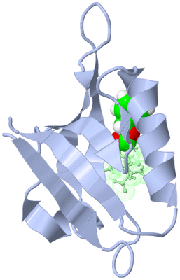 Image NMR Structure - model 1