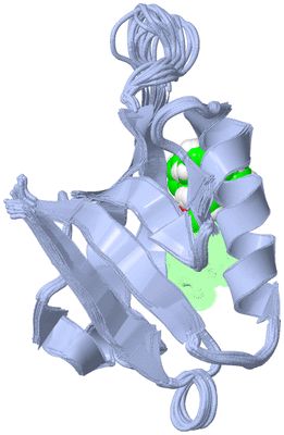 Image NMR Structure - all models