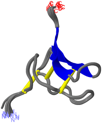 Image NMR Structure - all models