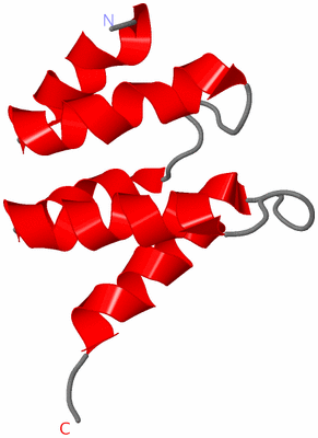 Image NMR Structure - model 1