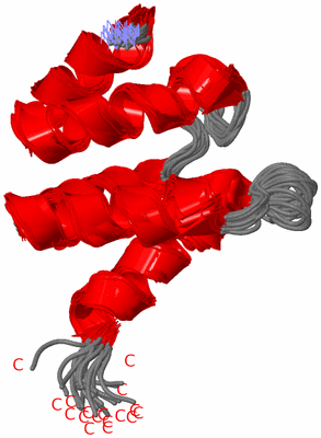 Image NMR Structure - all models