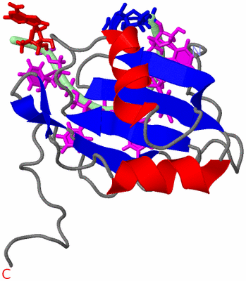 Image NMR Structure - model 1