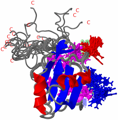 Image NMR Structure - all models