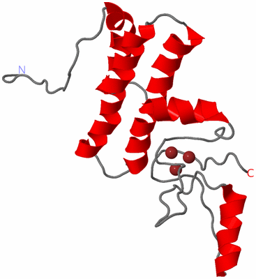 Image NMR Structure - model 1