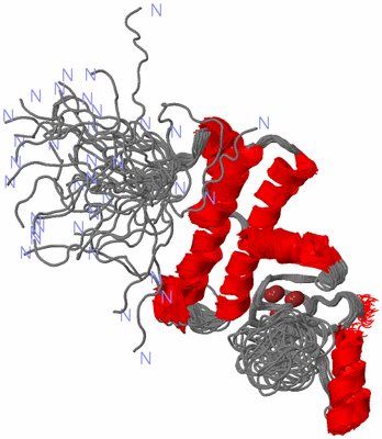 Image NMR Structure - all models