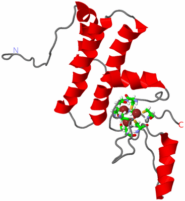 Image NMR Structure - model 1, sites