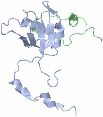 Image NMR Structure - model 1