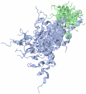 Image NMR Structure - all models