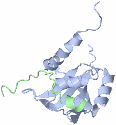 Image NMR Structure - model 1