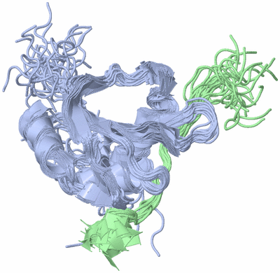 Image NMR Structure - all models