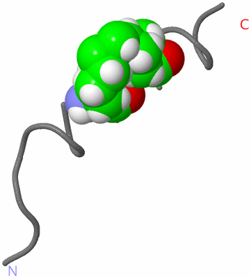 Image NMR Structure - model 1