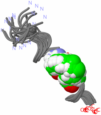 Image NMR Structure - all models