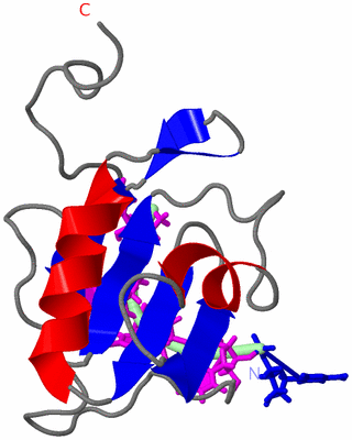 Image NMR Structure - model 1