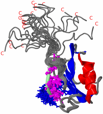 Image NMR Structure - all models