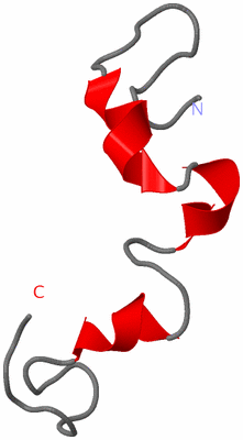 Image NMR Structure - model 1