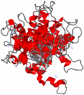 Image NMR Structure - all models