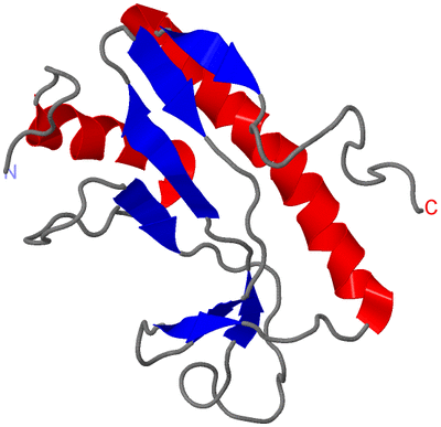 Image NMR Structure - model 1