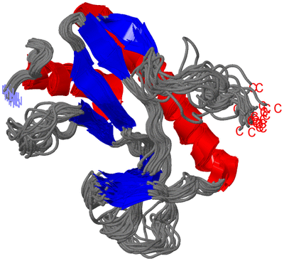 Image NMR Structure - all models