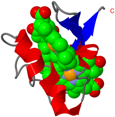 Image NMR Structure - model 1