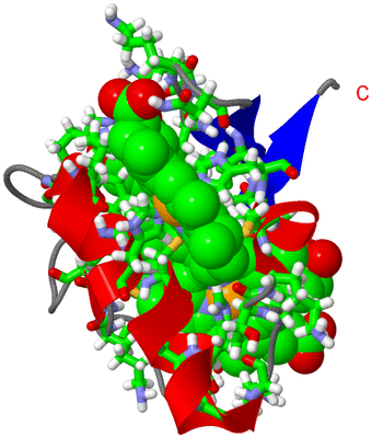 Image NMR Structure - model 1, sites