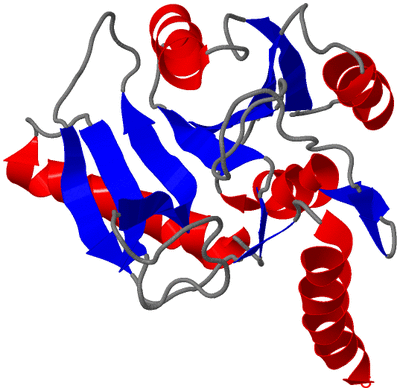 Image NMR Structure - model 1