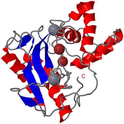 Image NMR Structure - model 1