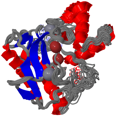 Image NMR Structure - all models