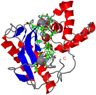 Image NMR Structure - model 1, sites