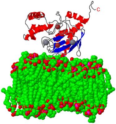 Image NMR Structure - model 1