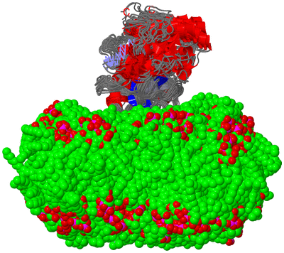 Image NMR Structure - all models