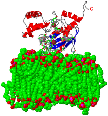 Image NMR Structure - model 1, sites