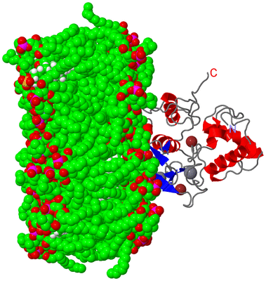 Image NMR Structure - model 1