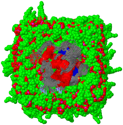 Image NMR Structure - all models