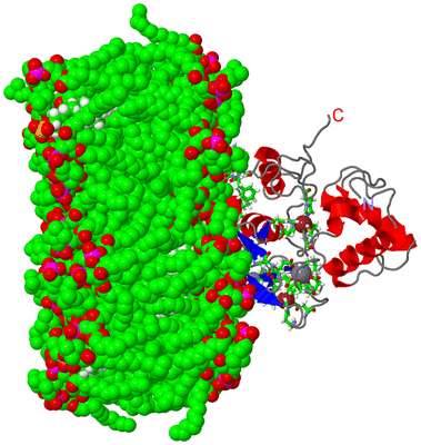 Image NMR Structure - model 1, sites