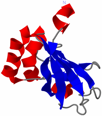 Image NMR Structure - model 1