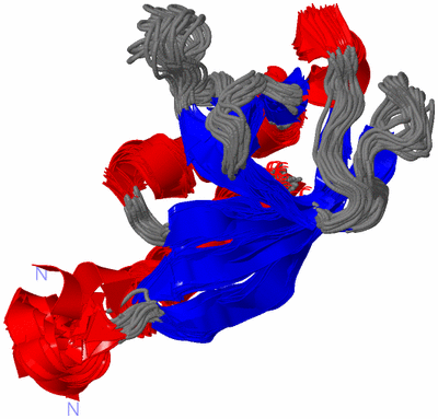 Image NMR Structure - all models