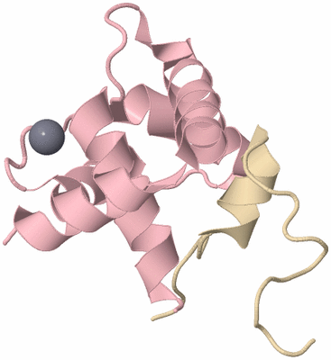 Image NMR Structure - model 1