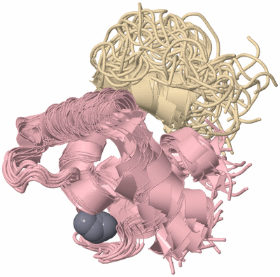 Image NMR Structure - all models