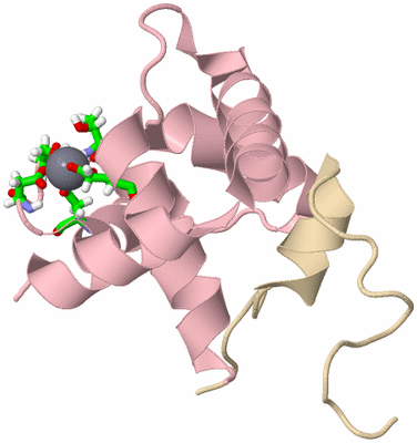 Image NMR Structure - model 1, sites