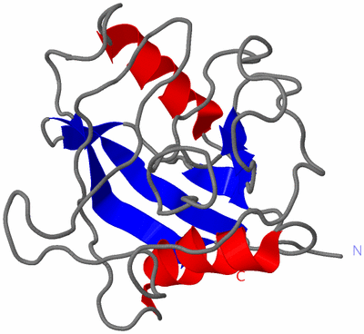 Image NMR Structure - model 1