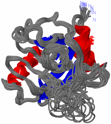 Image NMR Structure - all models