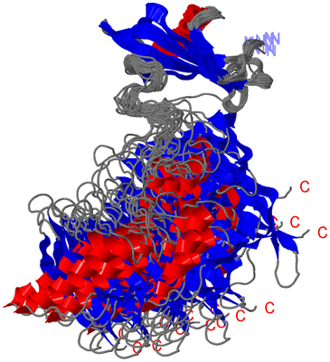 Image NMR Structure - all models