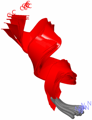 Image NMR Structure - all models