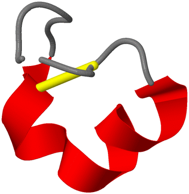 Image NMR Structure - model 1