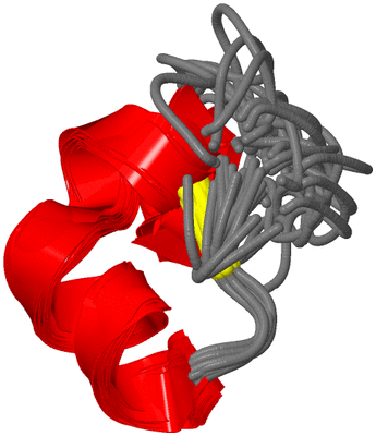 Image NMR Structure - all models